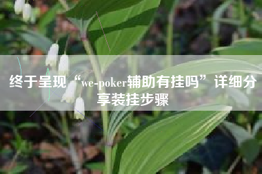 终于呈现“we-poker辅助有挂吗”详细分享装挂步骤