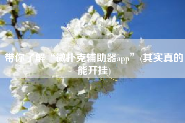 带你了解“微扑克辅助器app”(其实真的能开挂)