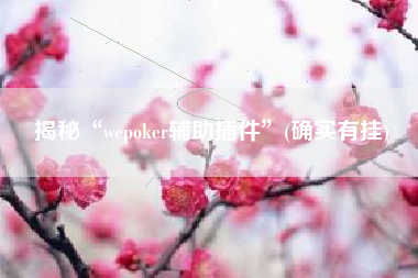 揭秘“wepoker辅助插件”(确实有挂)
