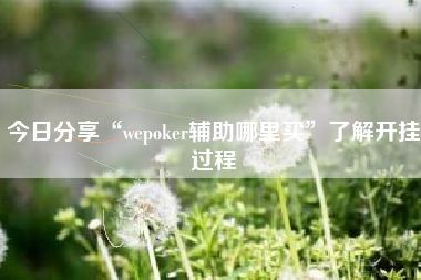 今日分享“wepoker辅助哪里买	”了解开挂过程