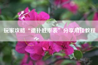 玩家攻略“德扑胜率表”分享用挂教程