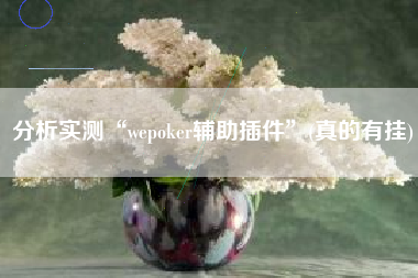 分析实测“wepoker辅助插件	”(真的有挂)