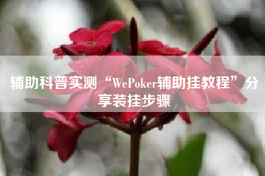 辅助科普实测“WePoker辅助挂教程”分享装挂步骤