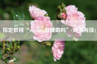 指定教程“wepoker有辅助吗”(确实有挂)