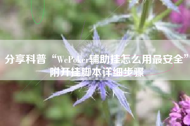 分享科普“WePoker辅助挂怎么用最安全”附开挂脚本详细步骤 分享科普“WePoker辅助挂怎么用最安全”附开挂脚本详细步骤