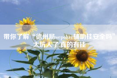 带你了解“德州局wepoker辅助挂安全吗”太坑人了,真的有挂