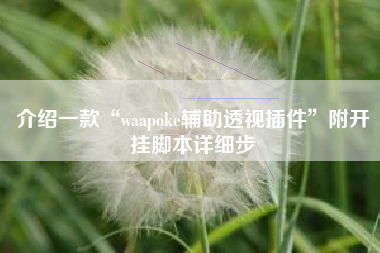 介绍一款“waapoke辅助透视插件”附开挂脚本详细步