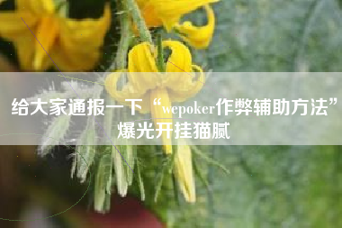 给大家通报一下“wepoker作弊辅助方法”爆光开挂猫腻