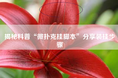 揭秘科普“微扑克挂脚本”分享装挂步骤 揭秘科普“微扑克挂脚本”分享装挂步骤