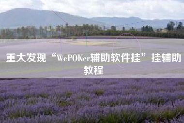 重大发现“WePOKer辅助软件挂	”挂辅助教程
