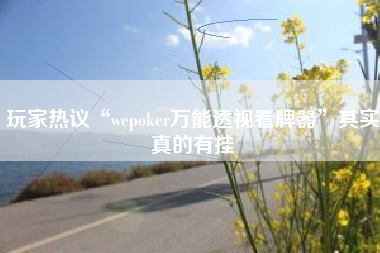 玩家热议“wepoker万能透视看牌器”其实真的有挂 玩家热议“wepoker万能透视看牌器”其实真的有挂