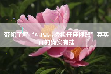 带你了解“WePoKer透视开挂神器”其实真的确实有挂
