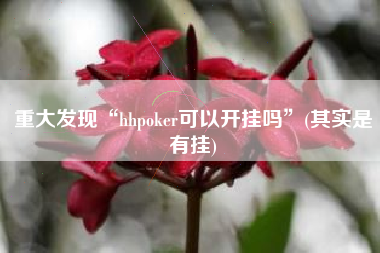 重大发现“hhpoker可以开挂吗	”(其实是有挂)