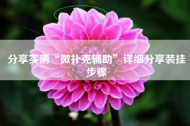 分享实测“微扑克辅助”详细分享装挂步骤