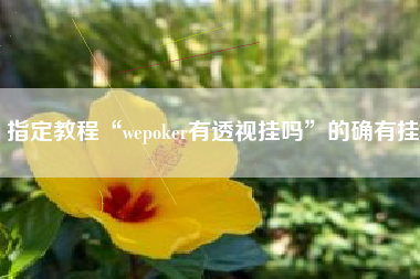 指定教程“wepoker有透视挂吗	”的确有挂