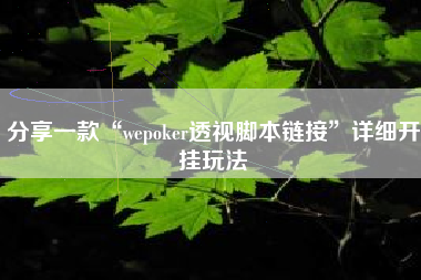 分享一款“wepoker透视脚本链接”详细开挂玩法