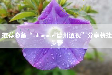 推荐必备“sohoopoker德州透视	”分享装挂步骤