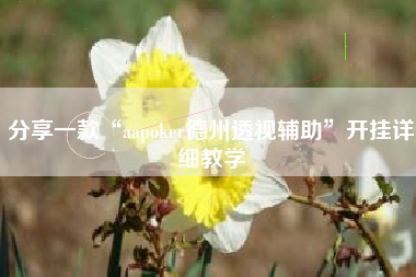 分享一款“aapoker德州透视辅助”开挂详细教学