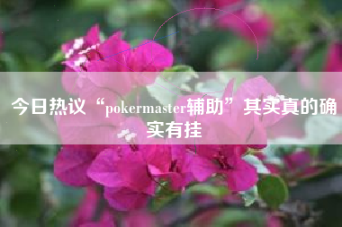 今日热议“pokermaster辅助”其实真的确实有挂 今日热议“pokermaster辅助”其实真的确实有挂