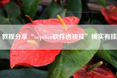 教程分享“wepoker软件透视挂”确实有挂
