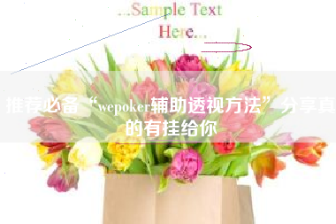 推荐必备“wepoker辅助透视方法”分享真的有挂给你 推荐必备“wepoker辅助透视方法”分享真的有挂给你