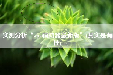 实测分析“wpk辅助器最新版”(其实是有挂)