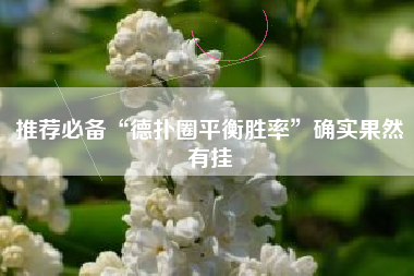 推荐必备“德扑圈平衡胜率”确实果然有挂