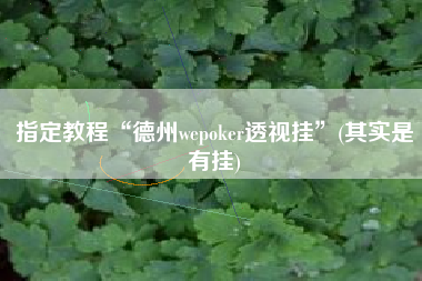 指定教程“德州wepoker透视挂”(其实是有挂)