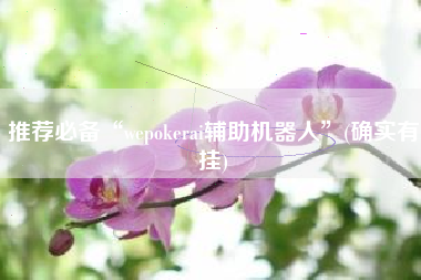推荐必备“wepokerai辅助机器人”(确实有挂)