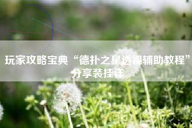玩家攻略宝典“德扑之星透视辅助教程”分享装挂详