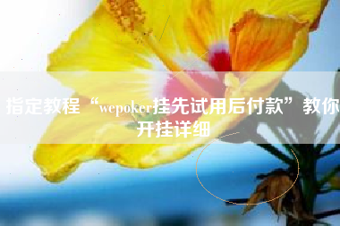 指定教程“wepoker挂先试用后付款”教你开挂详细