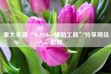 重大来袭“WePOKer辅助工具”分享用挂教程
