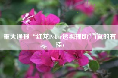 重大通报“红龙Poker透视辅助	”(真的有挂)