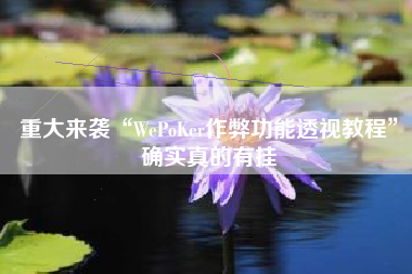 重大来袭“WePoKer作弊功能透视教程”确实真的有挂 重大来袭“WePoKer作弊功能透视教程”确实真的有挂