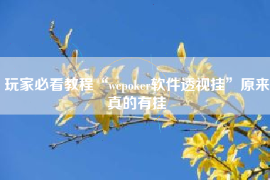 玩家必看教程“wepoker软件透视挂	”原来真的有挂