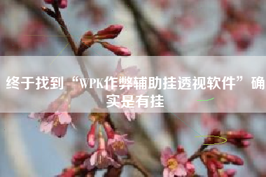 终于找到“WPK作弊辅助挂透视软件”确实是有挂