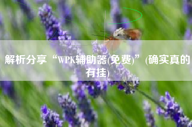 解析分享“WPK辅助器(免费)	”(确实真的有挂)