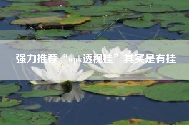 强力推荐“wpk透视挂”其实是有挂