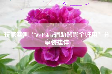 玩家实测“WePoker辅助器哪个好用”分享装挂详 玩家实测“WePoker辅助器哪个好用”分享装挂详