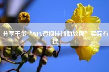 分享干货“WPk透视挂辅助教程	”实际有挂