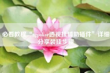必看教程“agpoker透视挂辅助插件”详细分享装挂步骤