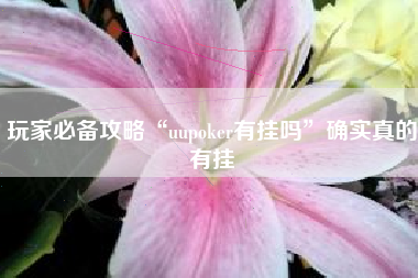 玩家必备攻略“uupoker有挂吗	”确实真的有挂