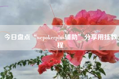 今日盘点“wepokerplus辅助”分享用挂教程 今日盘点“wepokerplus辅助”分享用挂教程