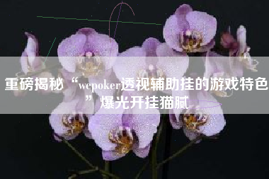 重磅揭秘“wepoker透视辅助挂的游戏特色”爆光开挂猫腻