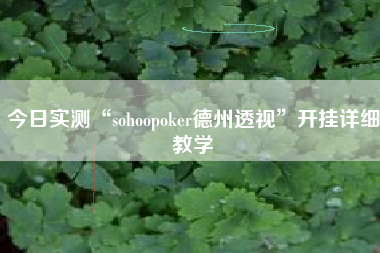 今日实测“sohoopoker德州透视”开挂详细教学