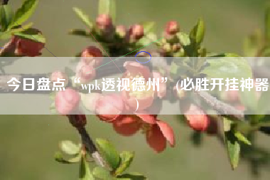 今日盘点“wpk透视德州”(必胜开挂神器)