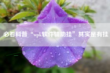 必看科普“wpk软件辅助挂”其实是有挂