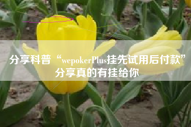 分享科普“wepokerPlus挂先试用后付款”分享真的有挂给你 分享科普“wepokerPlus挂先试用后付款”分享真的有挂给你