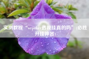 实测教程“wrpoker透视挂真的吗”(必胜开挂神器)