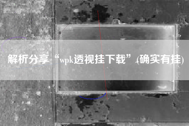 解析分享“wpk透视挂下载”(确实有挂) 解析分享“wpk透视挂下载”(确实有挂)
